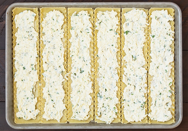 Ricotta cheese spread on lasagna roll ups in a baking tray