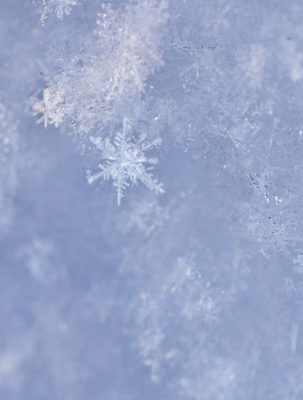 snowflakes7