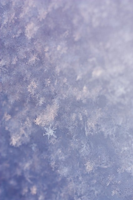 snowflakes8