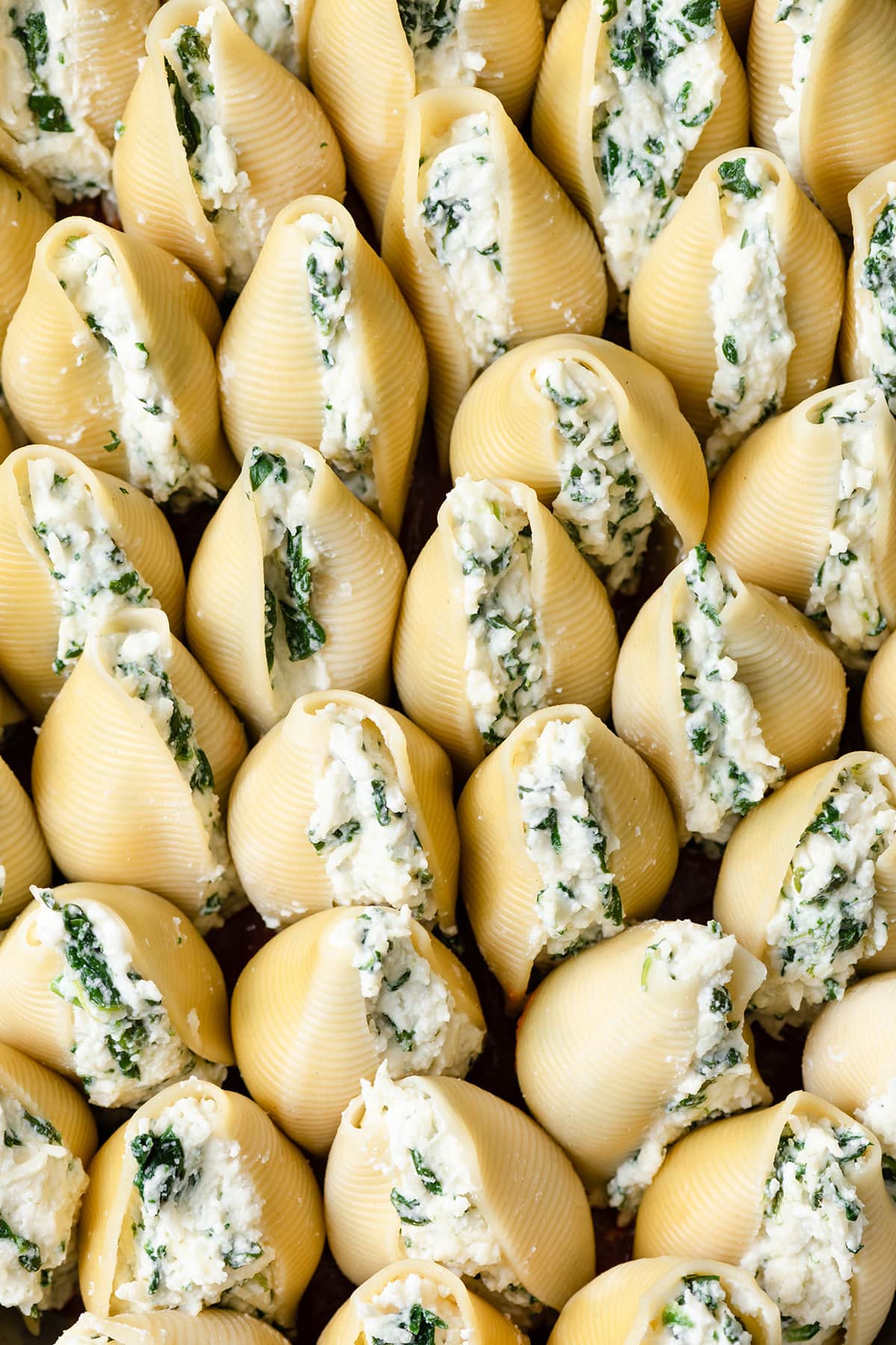 Showing how to make stuffed shells. Filling cooked shells with cheese and aligning them into baking dish. 