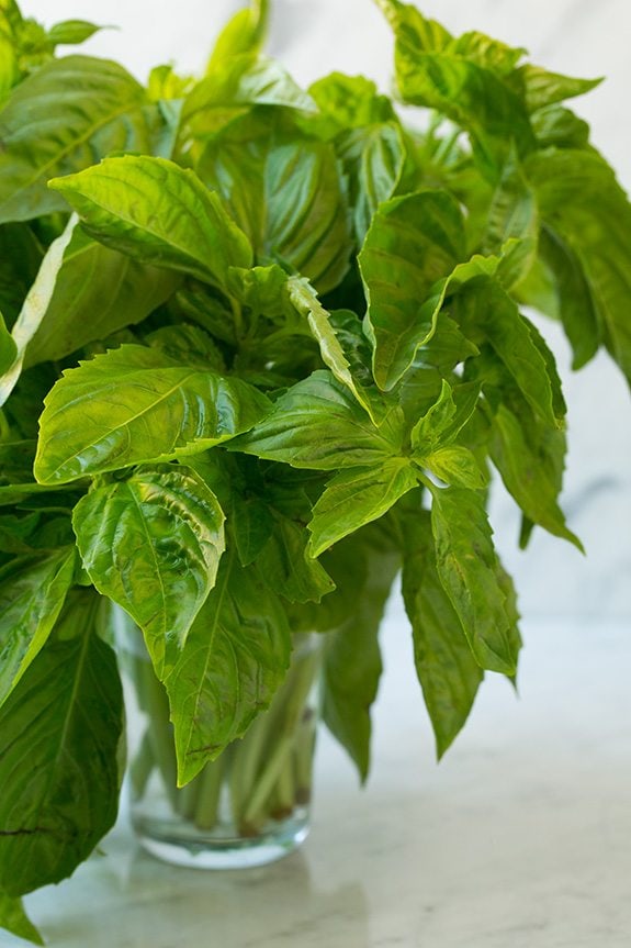 bunch of fresh basil in glass jar