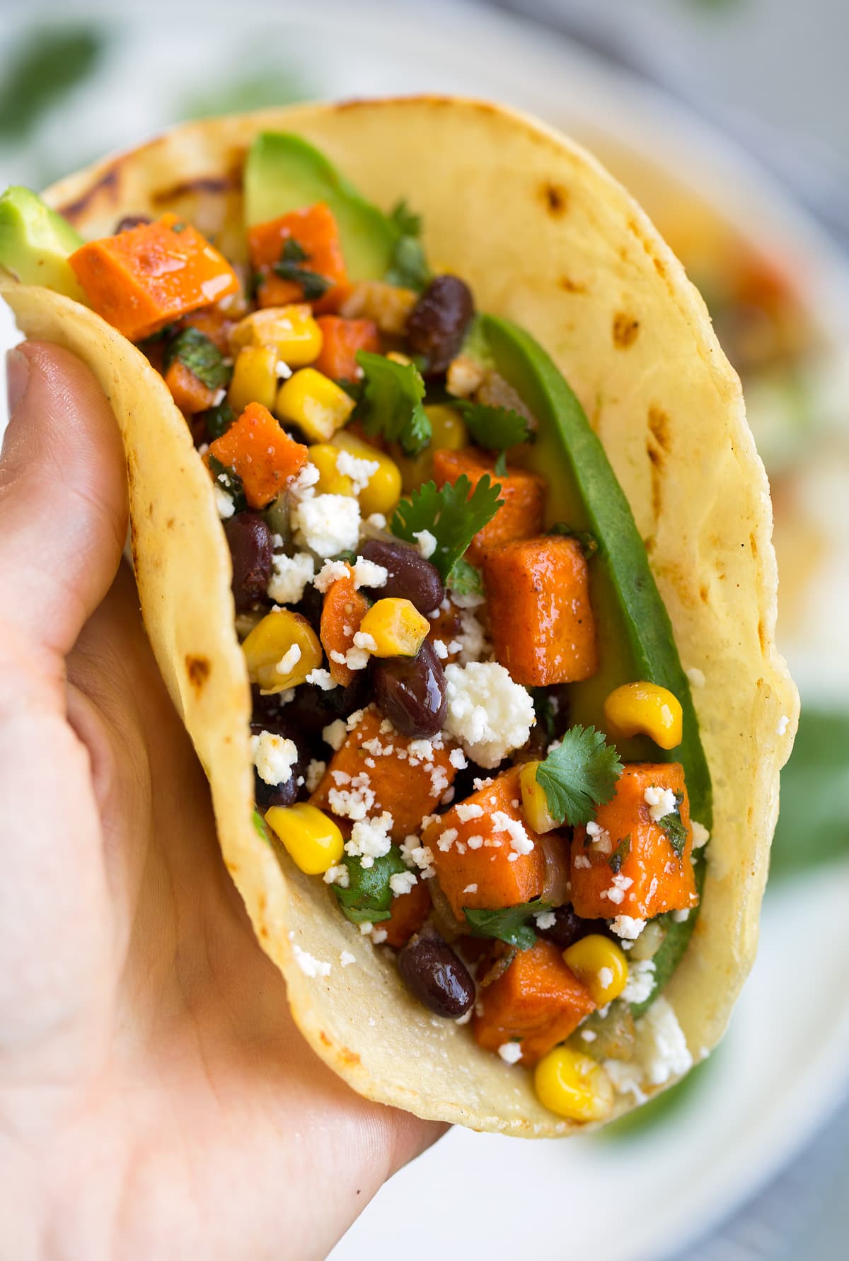 Close up image of vegetarian filled sweet potato, black bean and avocado taco.