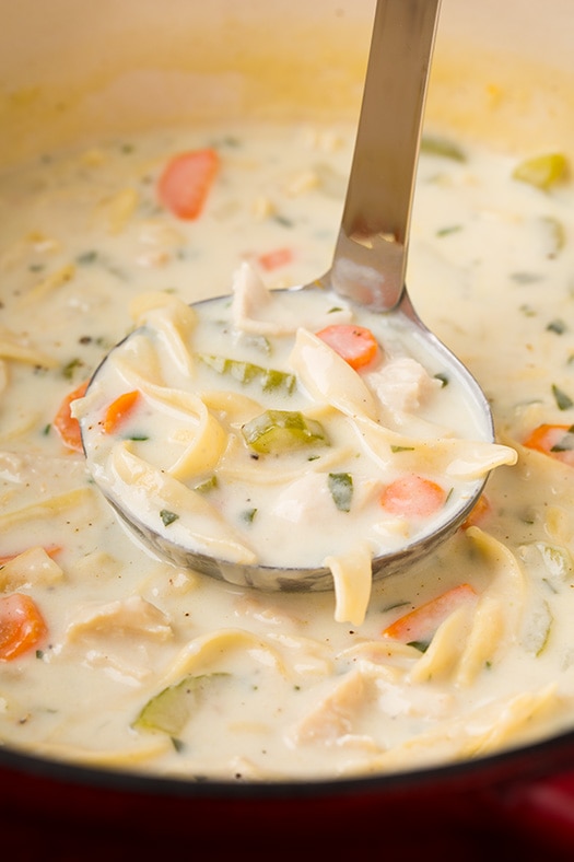 creamy-chicken-noodle-soup3-edit+srgb.