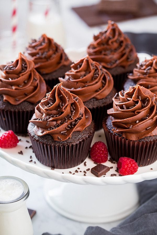 Plate full of chocolate cupcakes made from best chocolate cupcake recipe