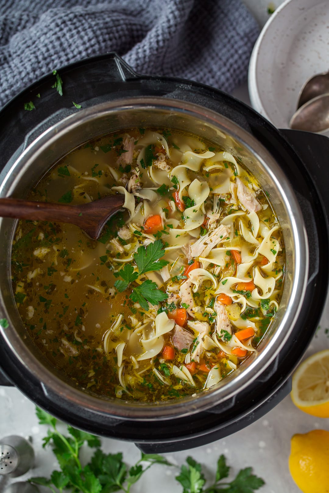 Instant Pot Chicken Noodle Soup