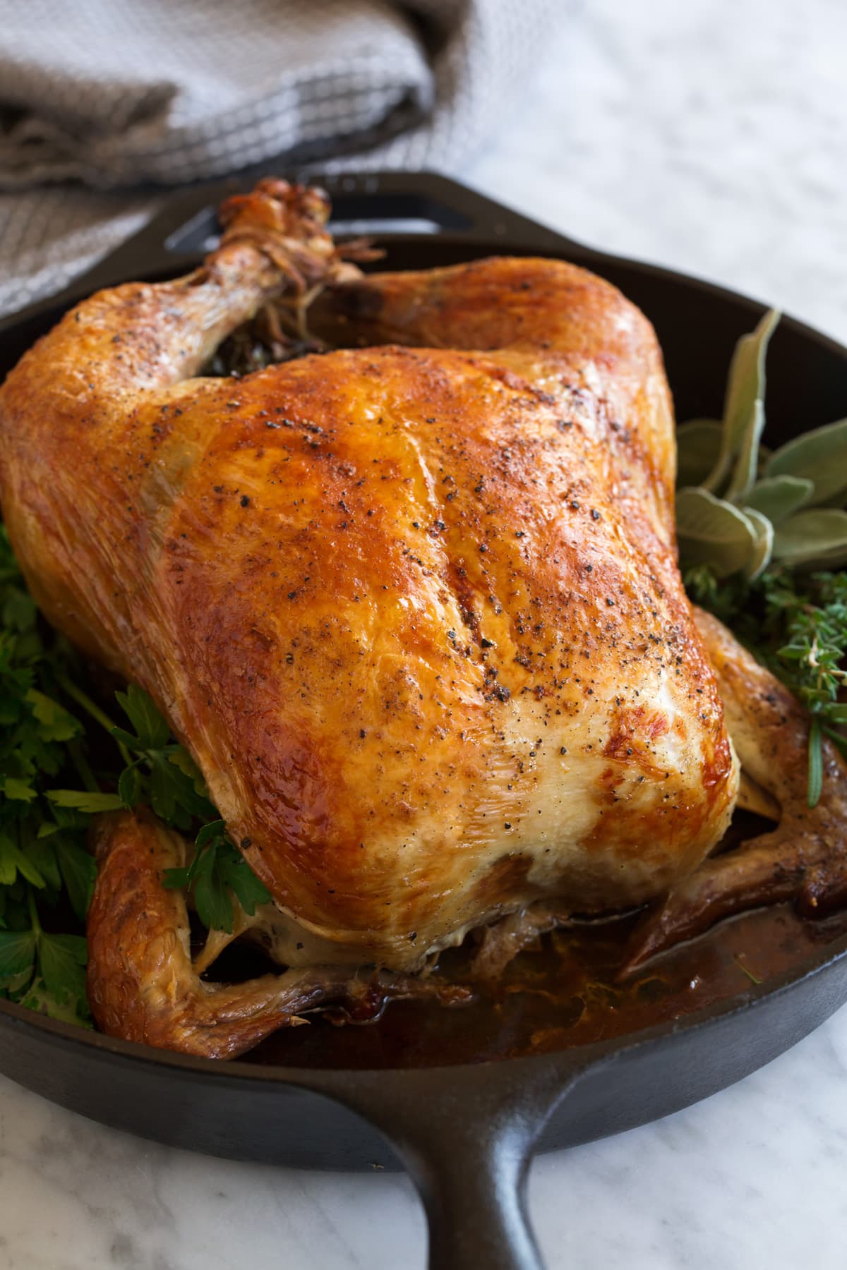 Roast Chicken in cast iron skillet