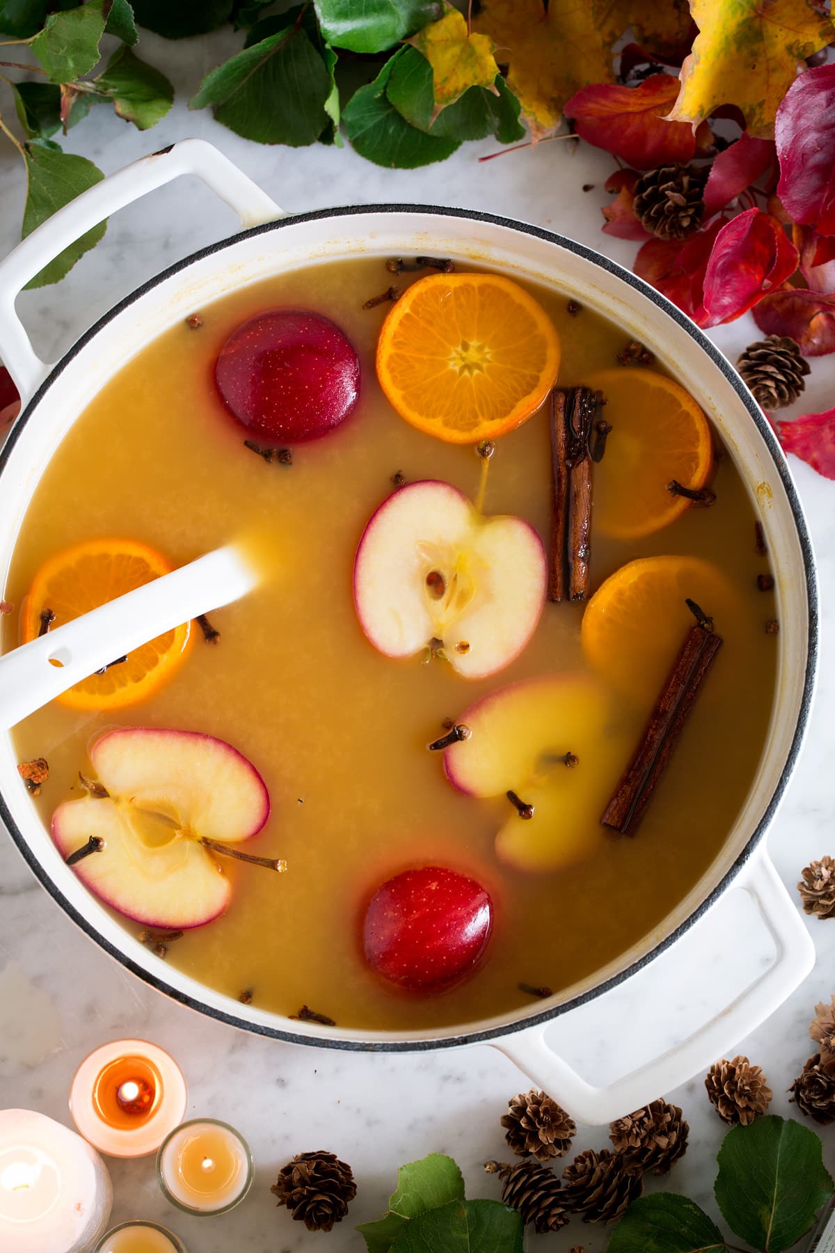Wassail Warm Apple Cider Autumn Punch