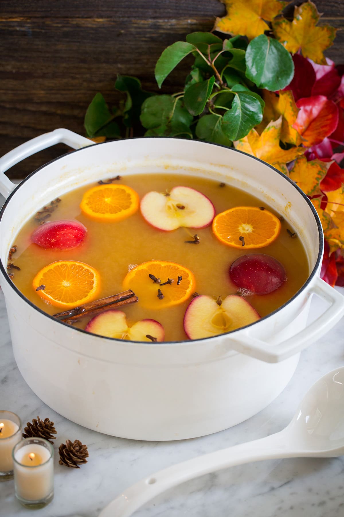 Wassail Warm Autumn Punch