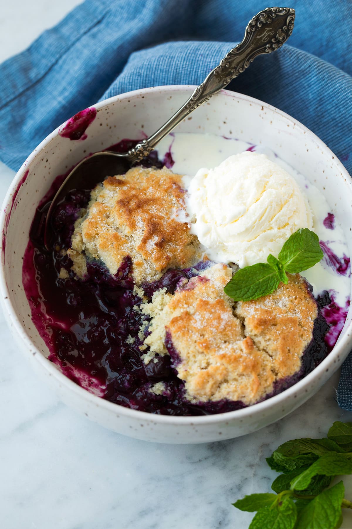 serving of Blueberry Cobbler topped with ice cream in white bowl