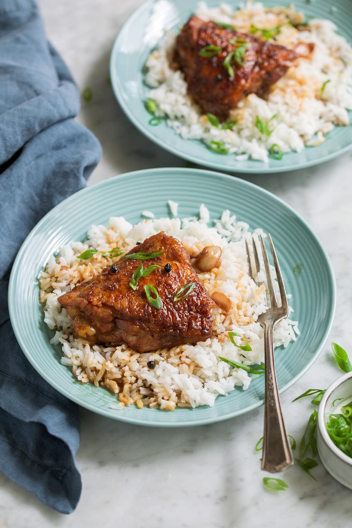 Chicken Adobo - easy Filipino chicken recipe made with soy sauce, vinegar, garlic and a hint of brown sugar. Tastes similar to teriyaki sauce but not quite so sweet. A perfect weeknight dinner! #chicken #adobo #recipe Two servings of chicken adobo on turquoise serving plates with white rice.