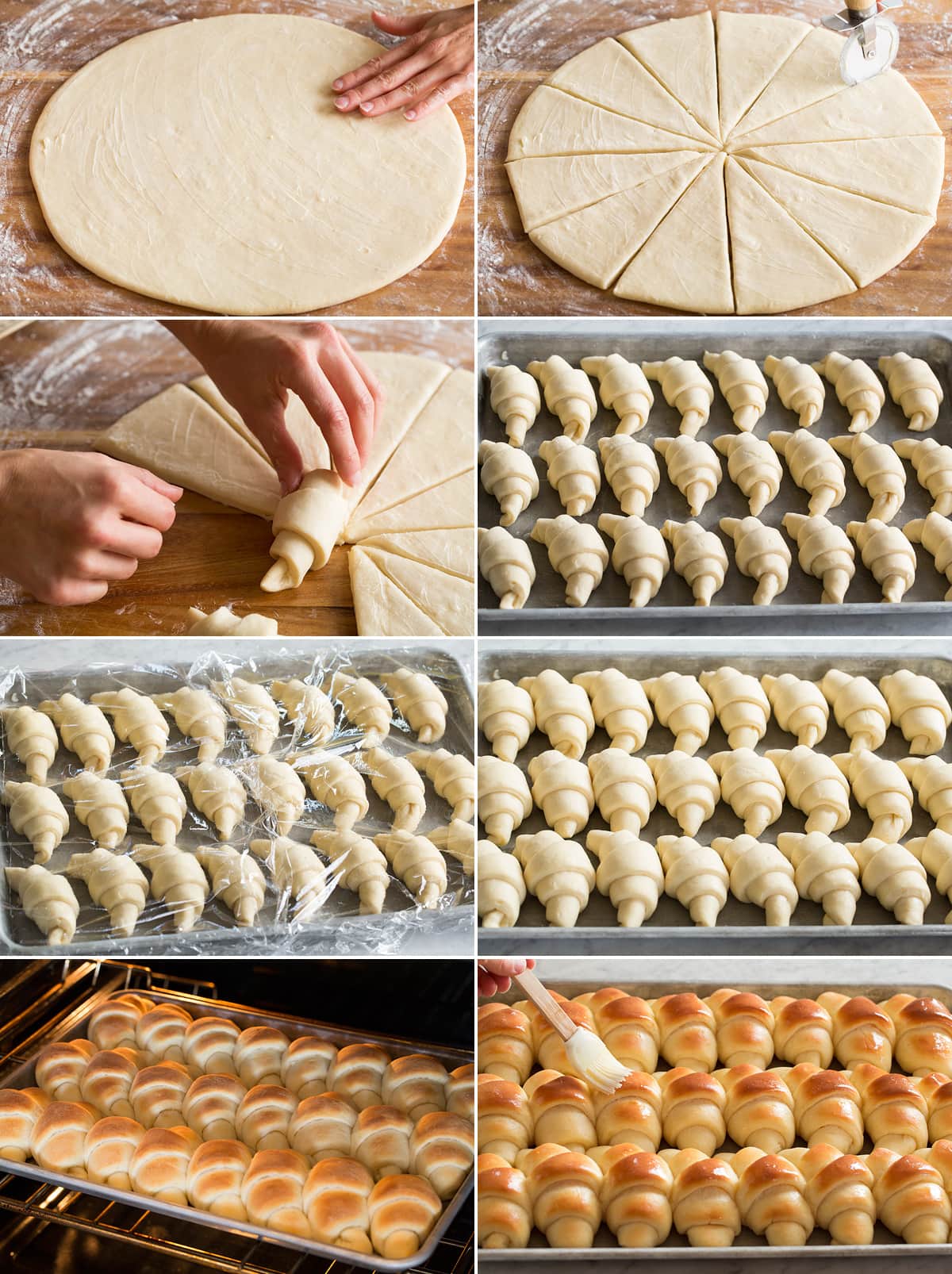 Collage of eight images showing final steps to making dinner rolls. Includes brushing dough round with butter, cutting into wedges, rolling wedges. Then rolls aligned in rows on baking sheet shown before and after rising then also after baking.