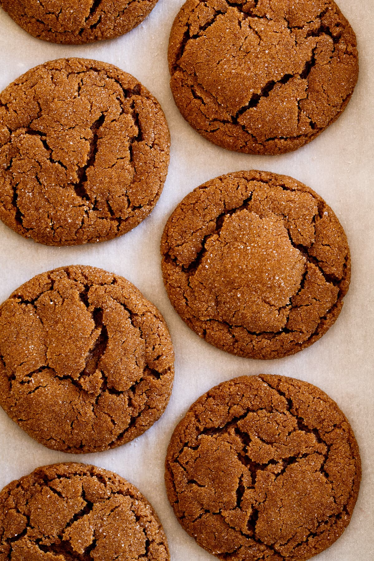Overhead close up image of molasses cookies on parchment paper.