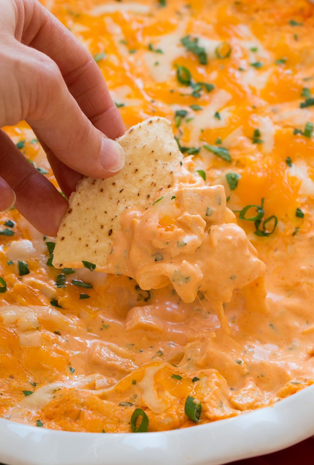 Buffalo Chicken Dip Close up image of buffalo chicken dip being scooped onto a tortilla chips.
