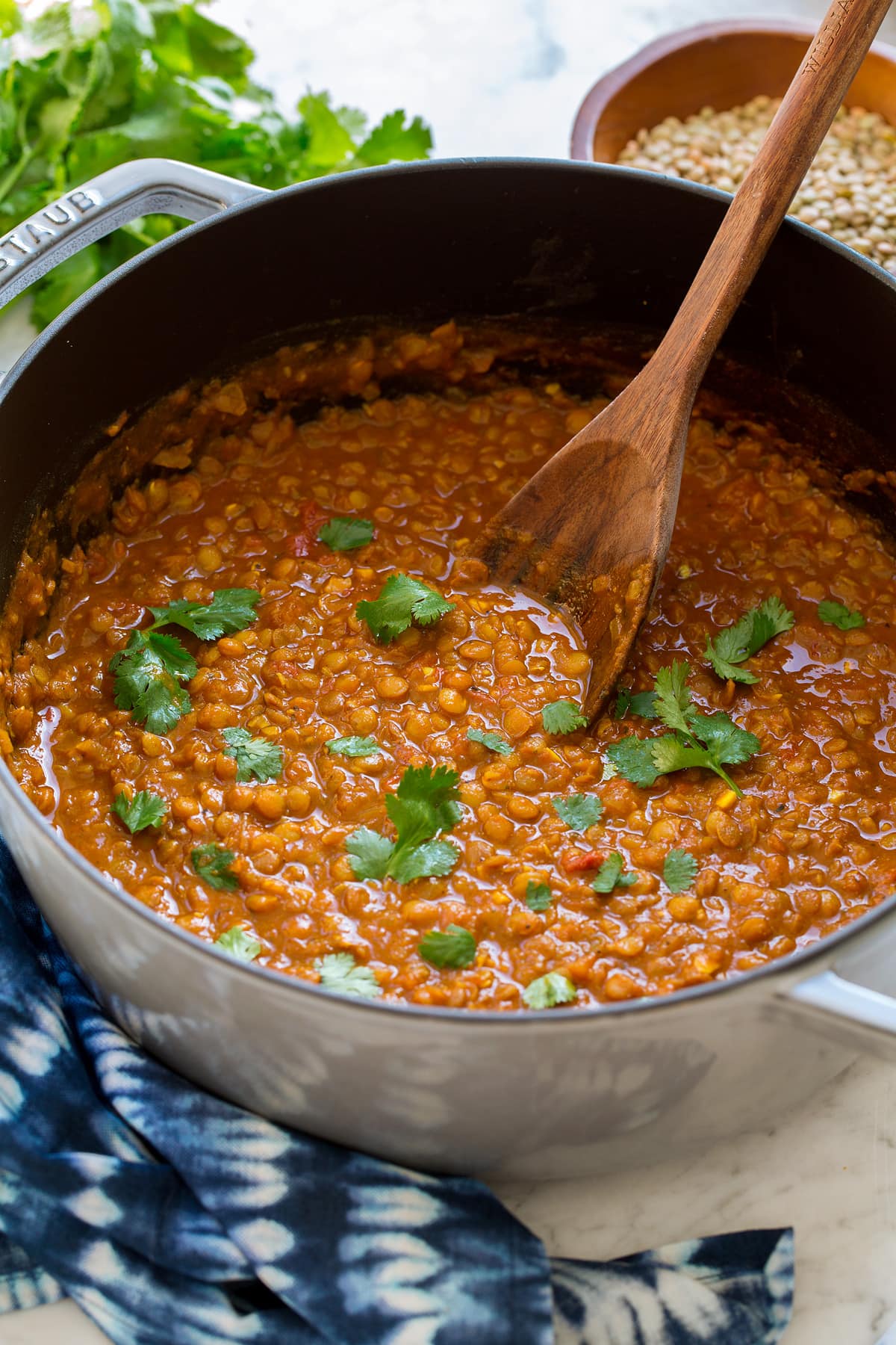 Pot full of coconut lentil curry garnished with cilantro leaves.