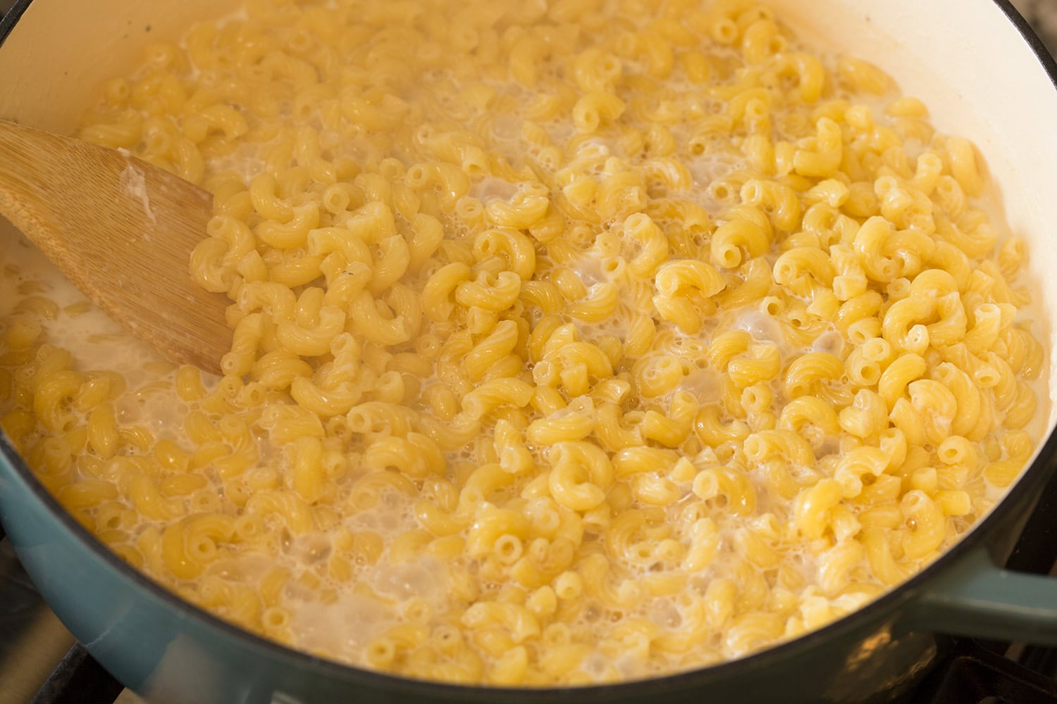 Pasta shown after cooking through and absorbing the milk and water.
